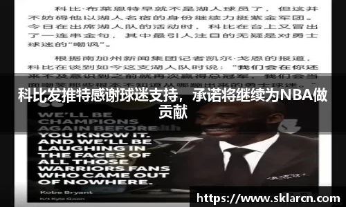 jn体育