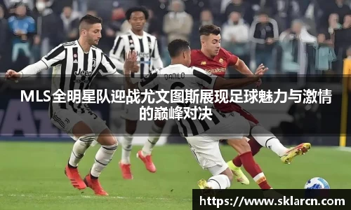 jn体育